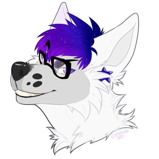 Orion Starr | Wiki | Furry Amino