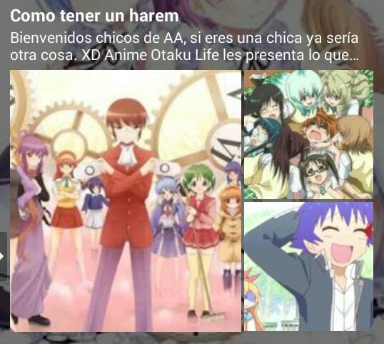 Como tener un harem inverso •Anime• Amino