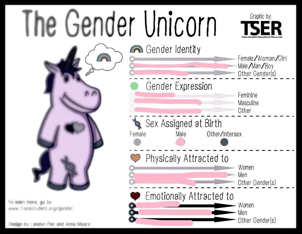 The gender unicorn LGBT+ Amino