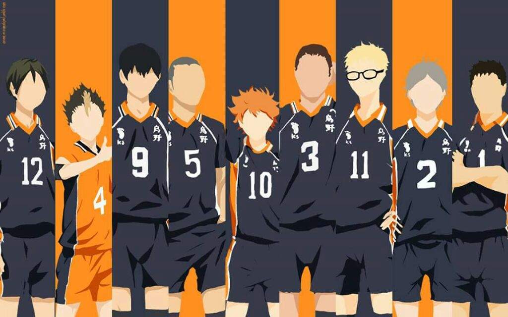 Karasuno Volleyball Team Haikyuu Amino