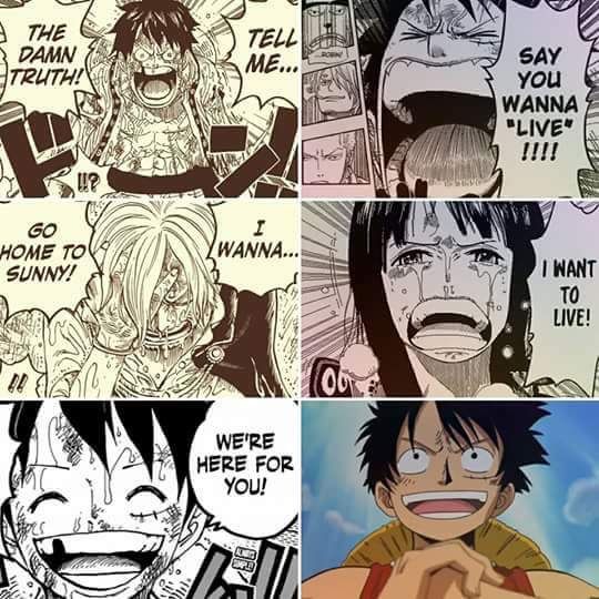 One Piece One Piece Amino