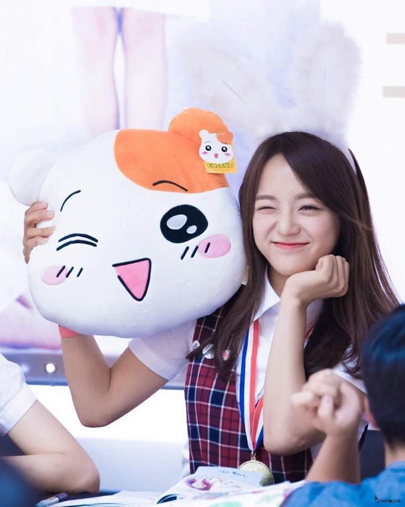 kim sejeong wiki k pop amino kim sejeong wiki k pop amino