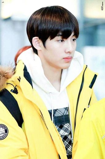 Dong Sicheng | Wiki | NCT (엔시티) Amino