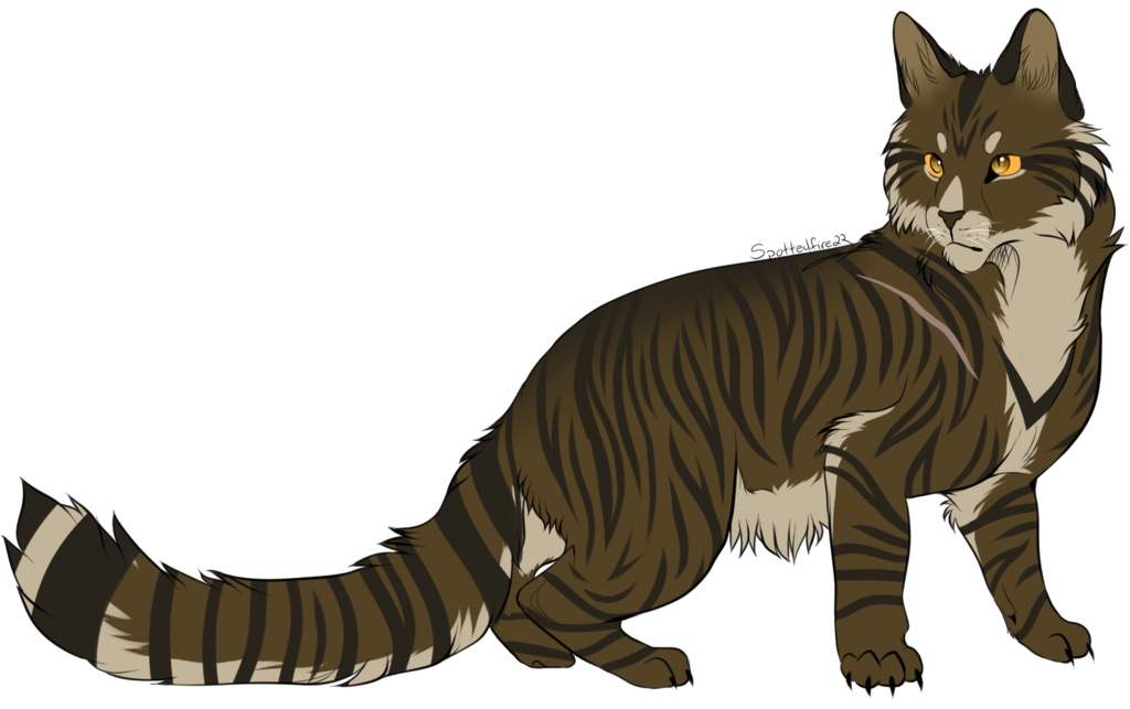 10 Oldest Warrior Cats 