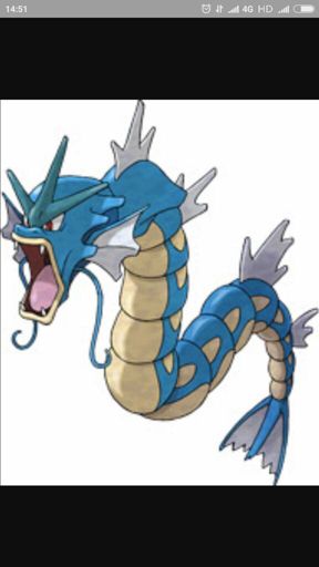 Gyarados | Wiki | Pokémon Amino