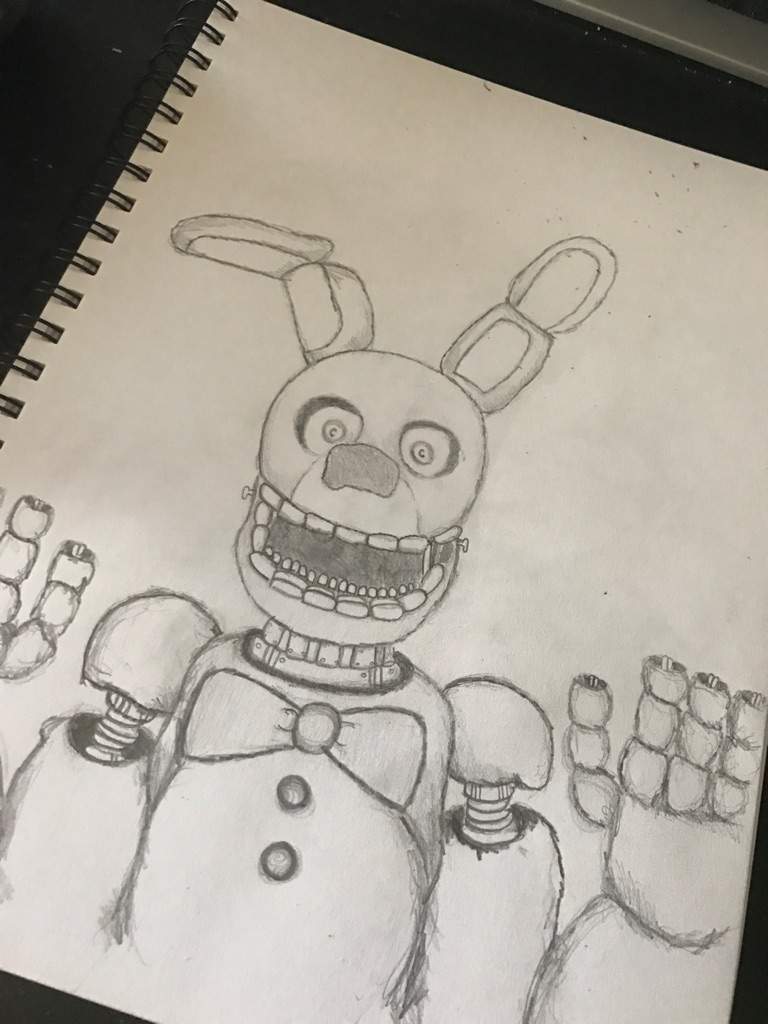 Spring Bonnie Drawing.