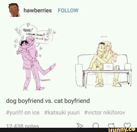 Dog boyfriend VS Cat boyfriend | Yuri On Ice Amino