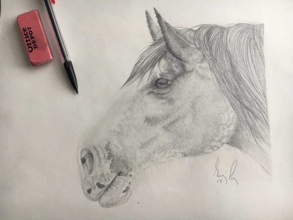 clydesdale horse drawing