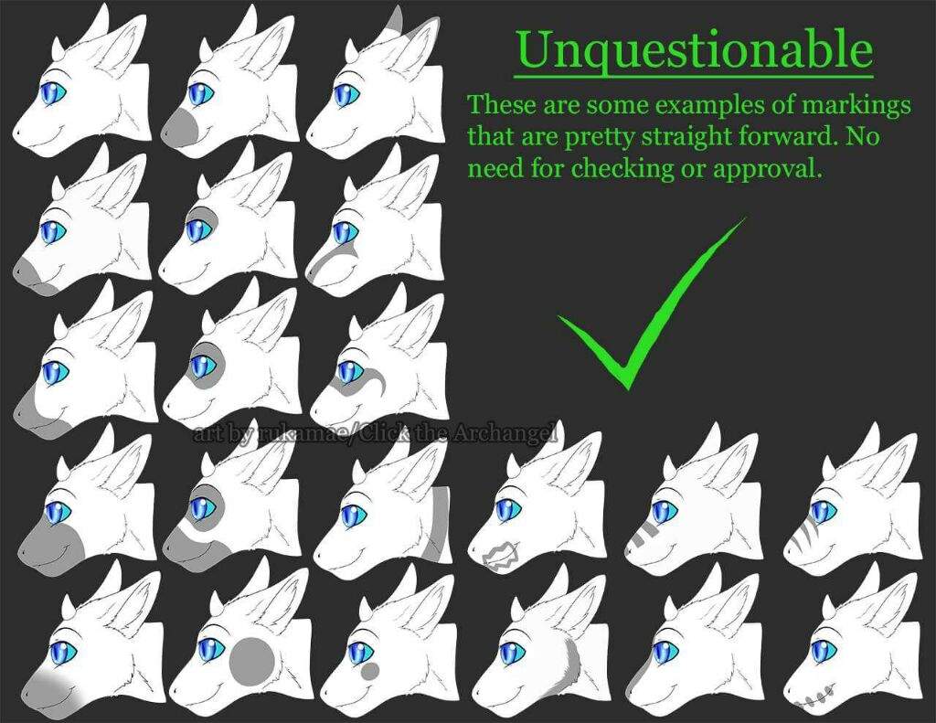 Dutch angel dragon muzzle ring markings guide | Furry Amino