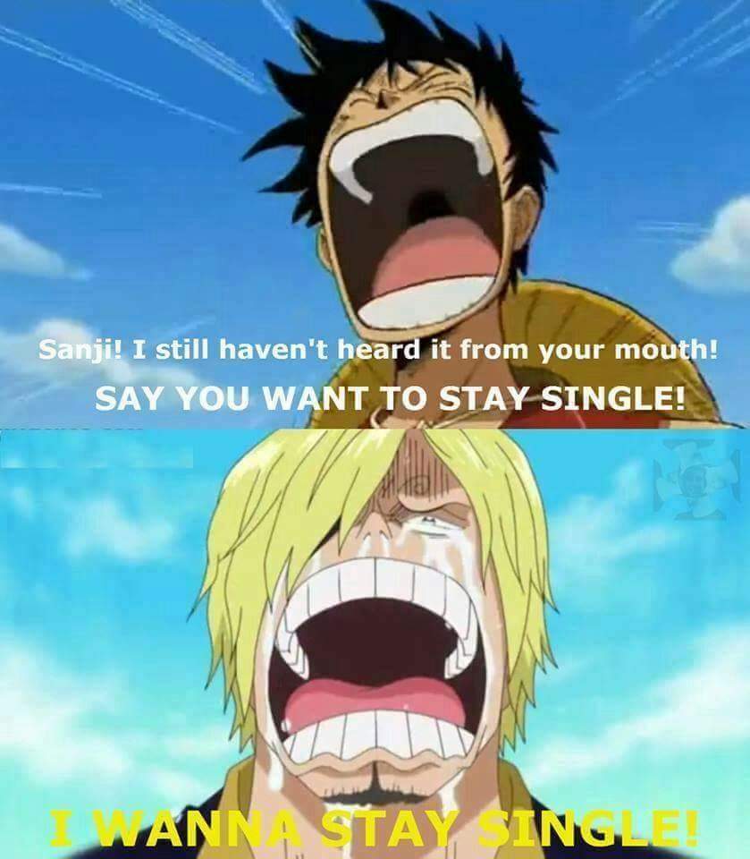 One Piece Sanji And Luffy Meme 😂😂 Anime Amino