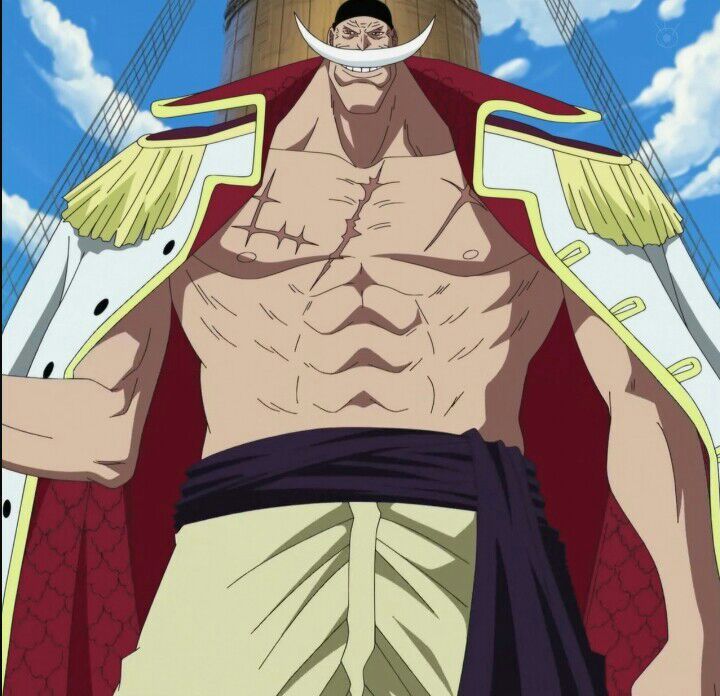 Papi shirohige | Wiki | •One Piece• Amino