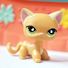 amino-luna lps kawaii-70ad7d64