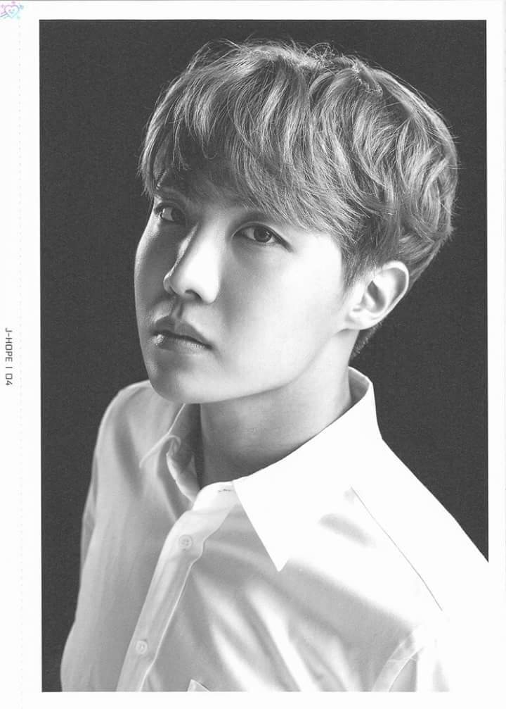 2017 BTS TRILOGY EPISODE III THE WINGS TOUR FACE COLLECTION (J-HOPE ...