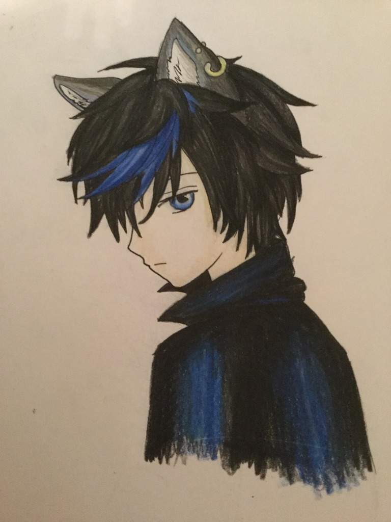 Mysterious wolf boy | Aphmau Amino