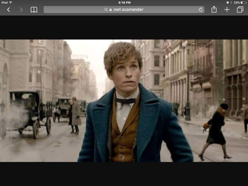 Newt Scamander Wiki Harry Potter Amino