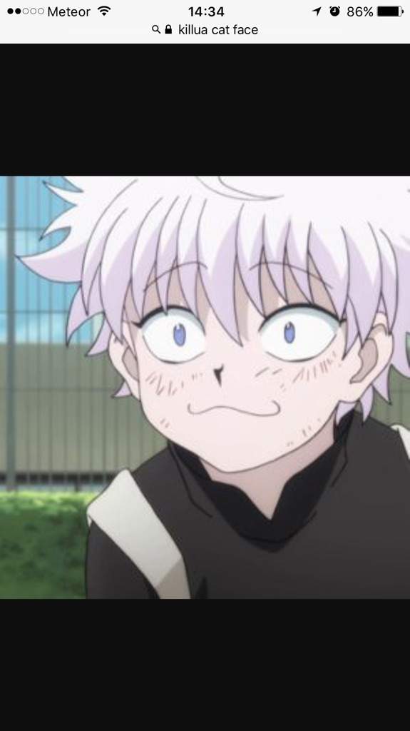 Killua Cat Face | Wiki | Hunter x Hunter Amino