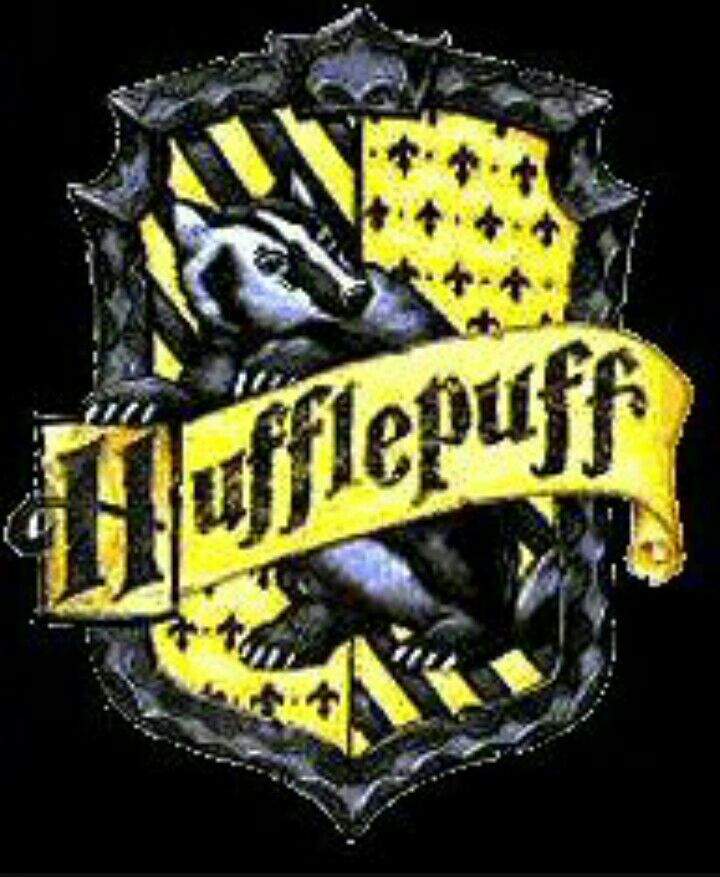 Arriba Hufflepuff!!? | •Harry Potter• Español Amino