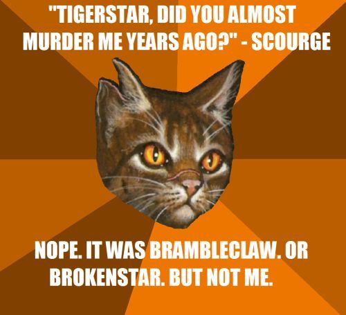 Funny Warrior Cat Memes : 25 Best Memes About Warrior Cats ...