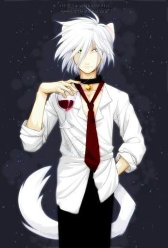 Neko King | Wiki | Anime Amino