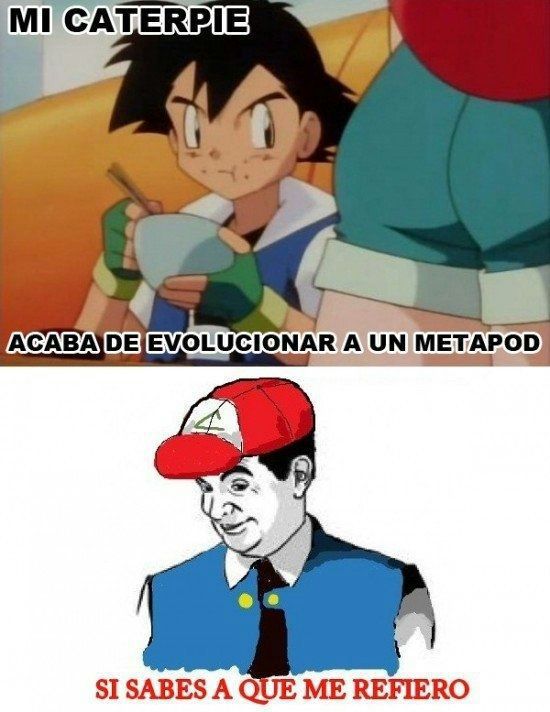 Memes RANDOM !!! | •Pokémon• En Español Amino