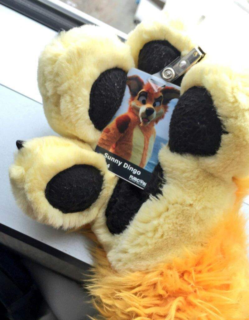 Furry cons! Wiki Furry Amino