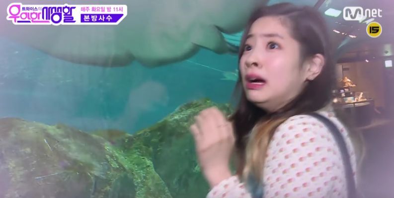 Kim Dahyun é Um Meme Ambulante Twice Br Amino 2317