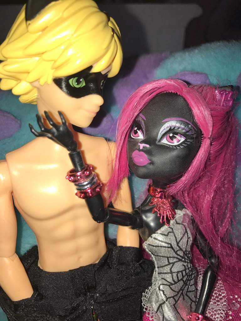 Cat Noir doll review | Toys Amino