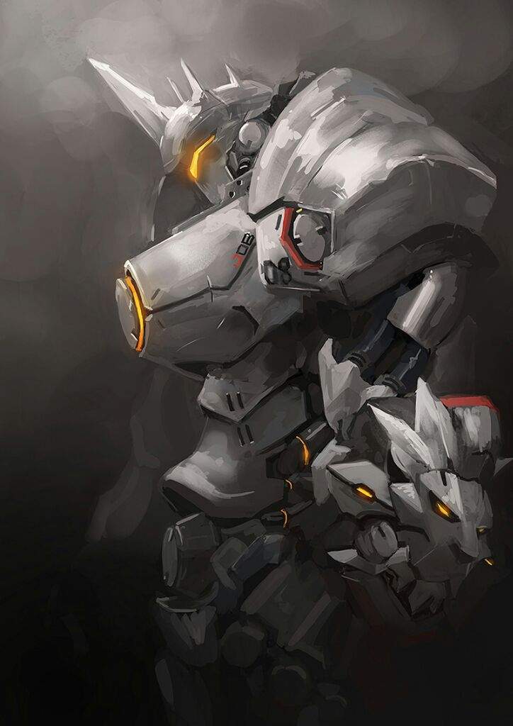 Reinhardt | Anime Amino