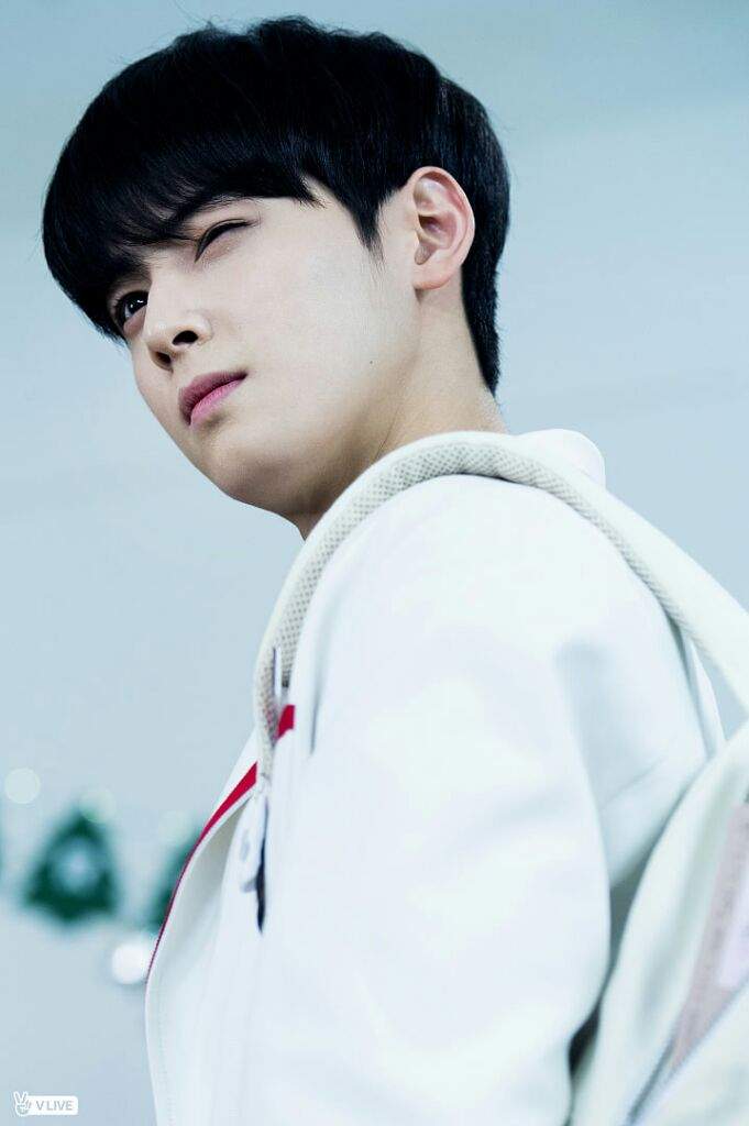 Cha Eun Woo | Wiki | Astro Amino