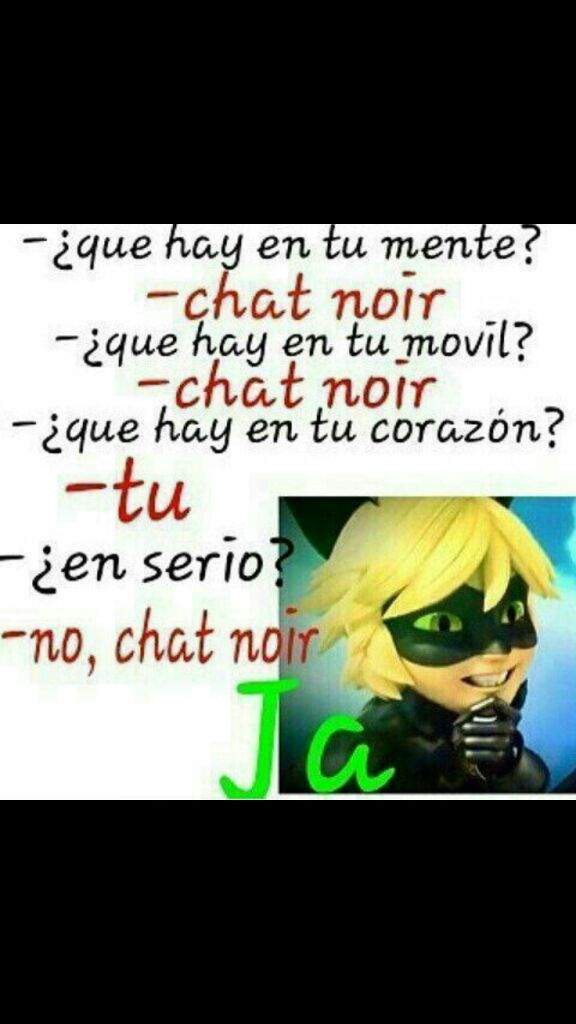 Memes De Chat Blanc Miraculous Ladybug En Espanol