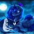 amino-princess Luna-946c6762