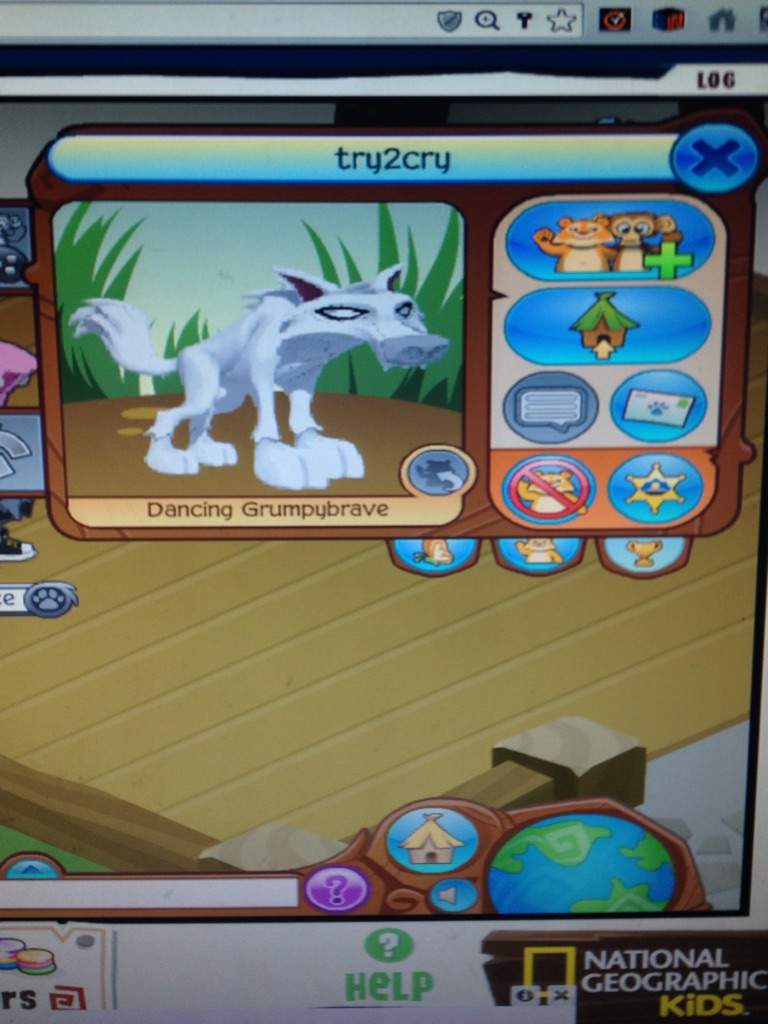 animal jam hackers 2016 list and pictures