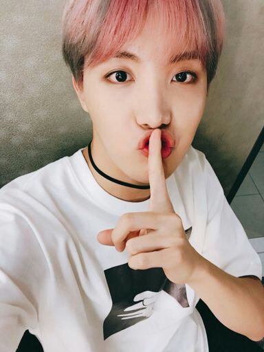 Hobii~ | Wiki | •K-Pop• Amino