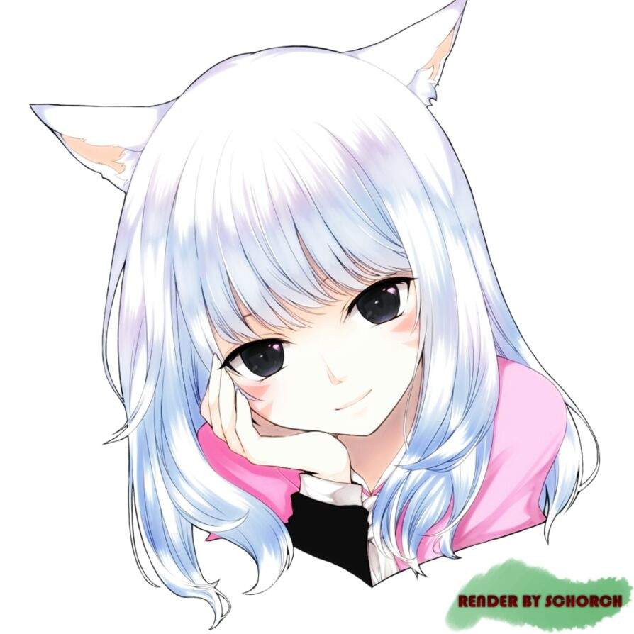 Nekos Kawaii! | 🌈 Anime Manía 🌈 Amino