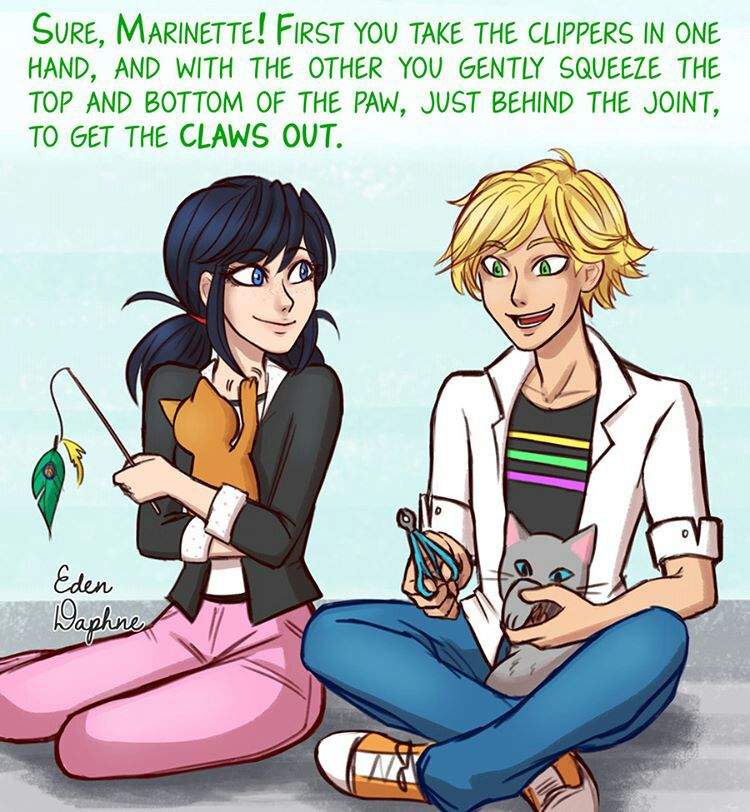 Cat Shelter - comic by Eden Daphen | Miraculous Amino