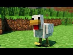 Gallina | Wiki | Minecraft Latinoamerica Amino