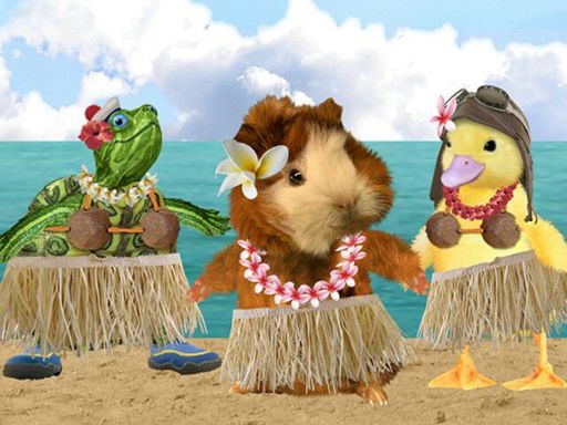 Wonder pets | Wiki | Cartoon Amino