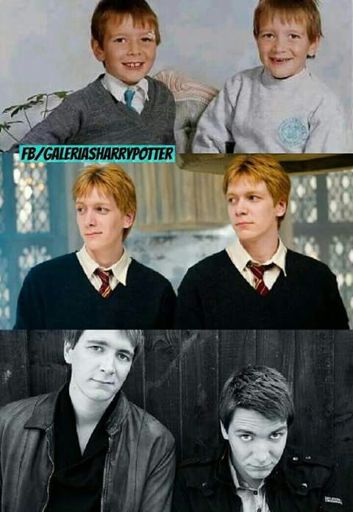 Hermanos Weasley | •Harry Potter• Español Amino