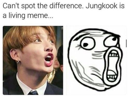 Jungkook Memes | ARMY's Amino