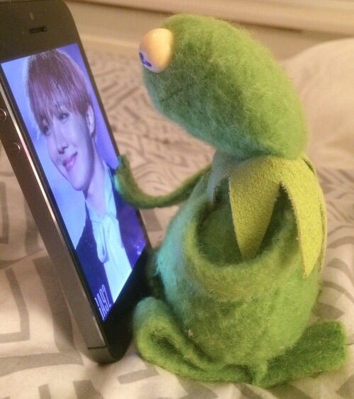 🐸KERMIT THE FROG'S KPOP LIFE🐸 | K-Pop Amino