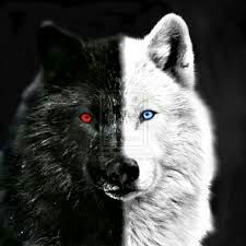 Lobos negros | Wiki | ? LOBOS LEGENDARIOS ? Amino