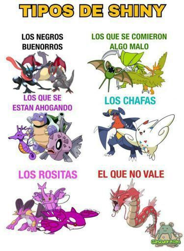 Memes Pokemon En Espanol Amino
