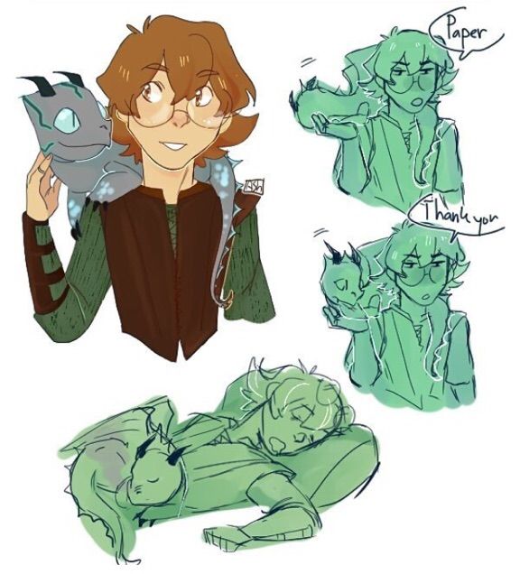 How To Train Your Dragon AU | Voltron Amino