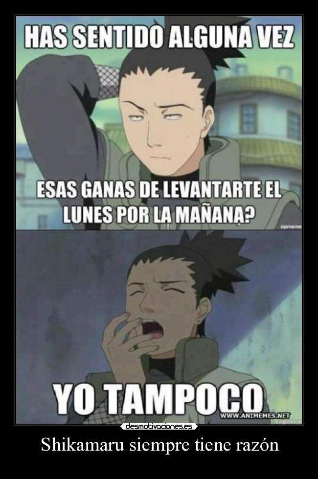 Memes shikamaru 😂😂🥔💘🤓 | •Anime• Amino