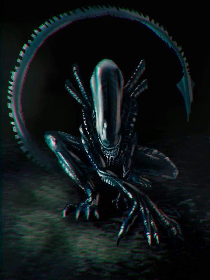 Xenomorfos Wiki ⚠prision De Monstruos Amino⚠ Amino 1297