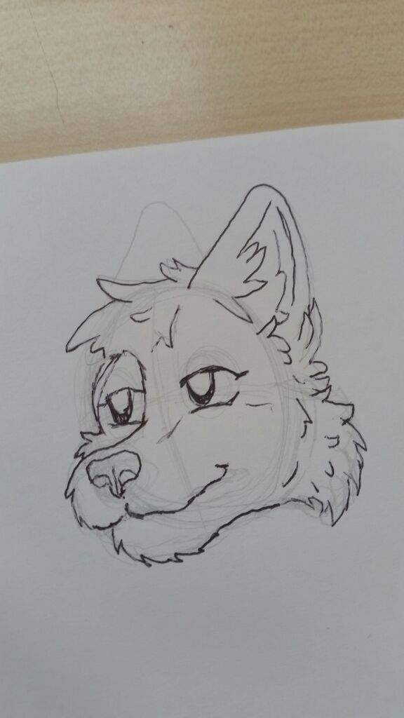 How to draw: a fursona headshot | Furry Amino