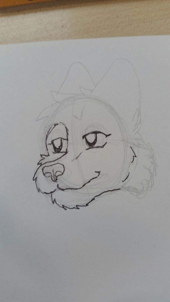 How to draw: a fursona headshot | Furry Amino