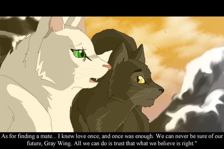 🌳The Ancients🌳 | Warrior Cats Amino Amino