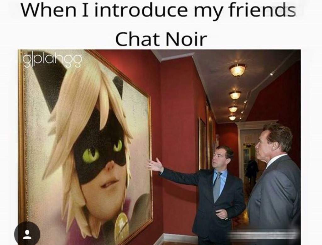 Chat Noir Memes Miraculous Amino