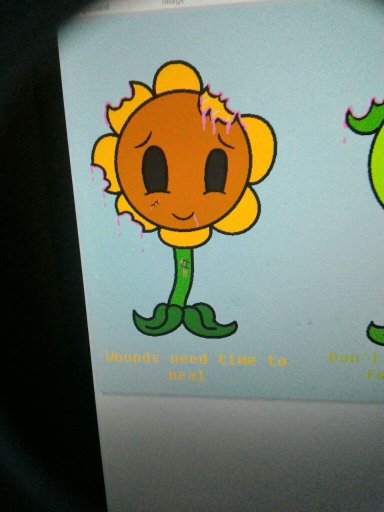 cute peashooter and sunflower